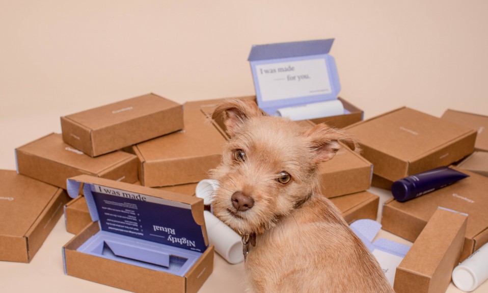 a small dog sits in front of a pile of cardboard subscription boxes